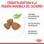 3 kg Royal Canin X-Small Puppy pienso para perros, , large indicador imagen numero 4
