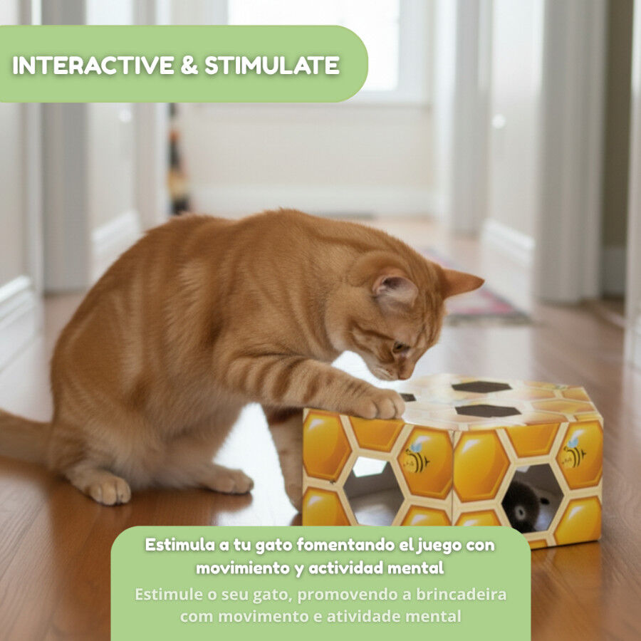Tootoy! Panal de abeja interactivo con plumas para gatos, , large Imagen numero 5