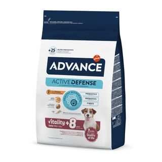 Advance Senior Mini +8 Pollo y Arroz pienso para perros