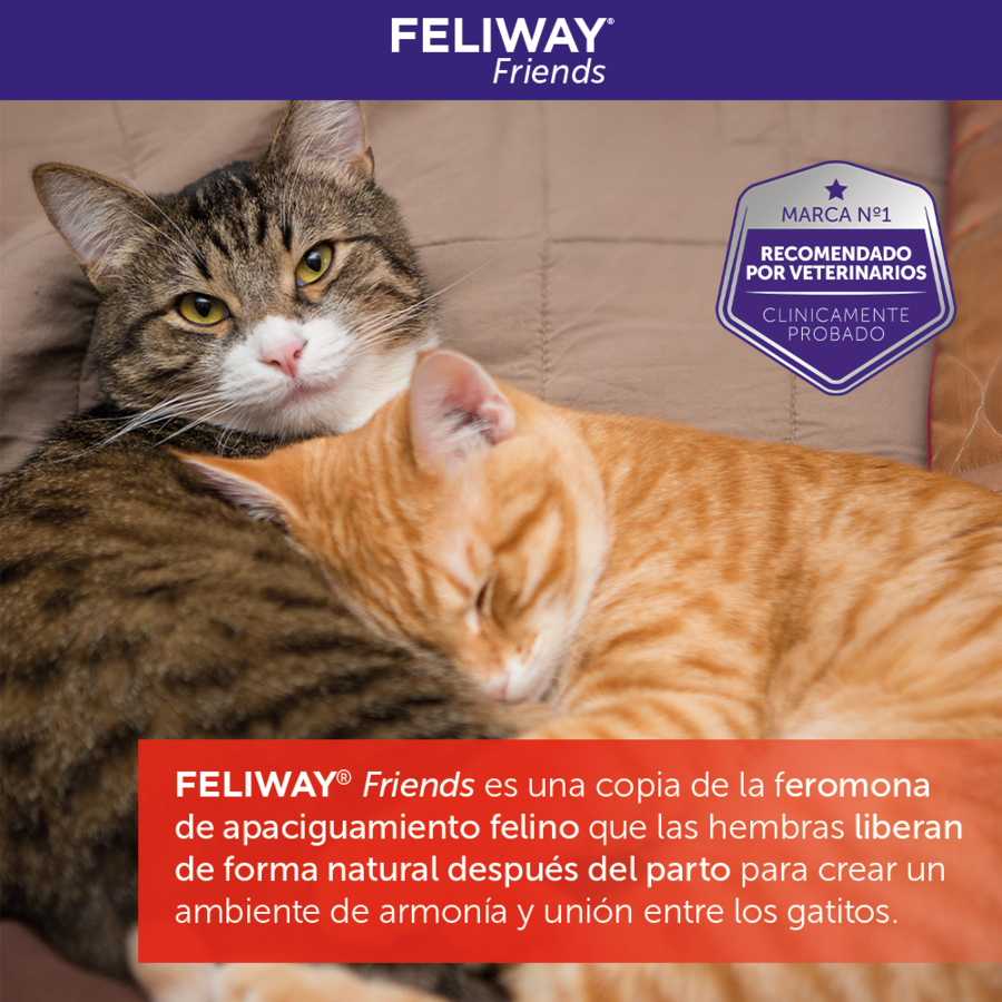 Feliway Friends Difusor para gatos, , large Imagen numero 7