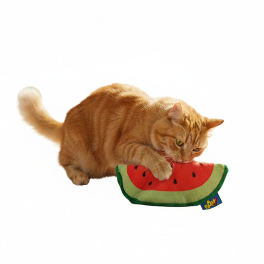 BAM! Peluche Sand&iacute;a con Catnip para gatos, , large Imagen numero 5