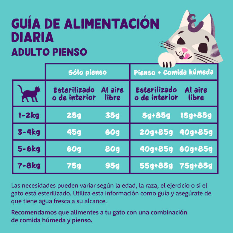 Edgard & Cooper Adult Pavo y Pollo pienso para gatos, , large image number null