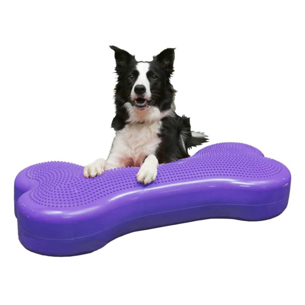 FitPAWS Plataforma para mascotas K9FITbone PVC morada FPKBONE PURPLE, , large Imagen numero 4