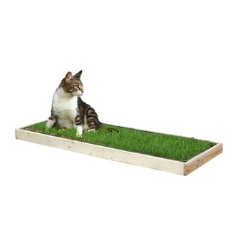 Petground Cama Caja de Madera para gatos