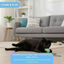 Tootoy! Pelota Interactiva con Luces y Cuerda Verde para gatos, , large indicador imagen numero 5