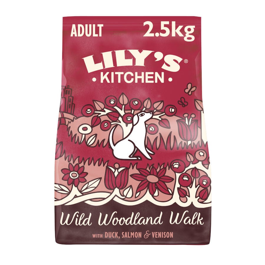 Lily's Kitchen Adult Pato, Salmón y Ciervo pienso para perros
