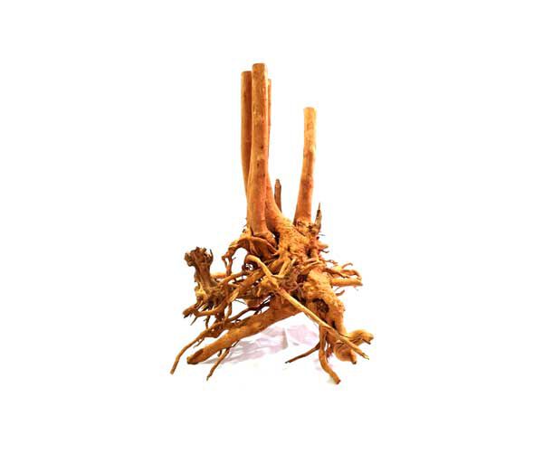 My Shrimp House Rainforest Madera para Peces