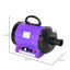 PawHut Secador de Pelo para Perros 2800W Soplador de Agua para Mascotas con Temperatura y Velocidad del Viento Ajustable 3 Boquillas Tubo Flexible 2,1 m y Asa Portátil 40x16x20 cm Negro y Púrpura, , large indicador imagen numero 3