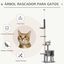 PawHut Árbol rascador PawHut para gatos color Gris, , large indicador imagen numero 4