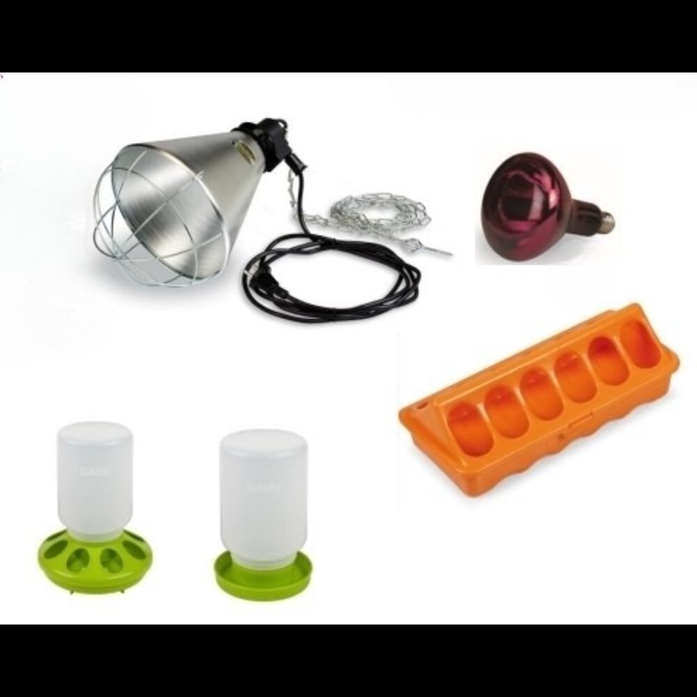 Kit Iniciacion Pollitos, , large Imagen numero 1