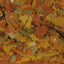 Tropical Goldfish Color escamas para carpas doradas, , large indicador imagen numero 2