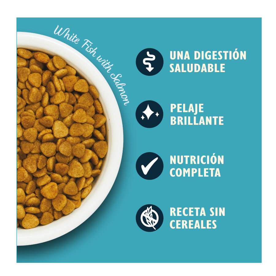 Lily&#039;s Kitchen Pescado blanco pienso para gatos thumbnail