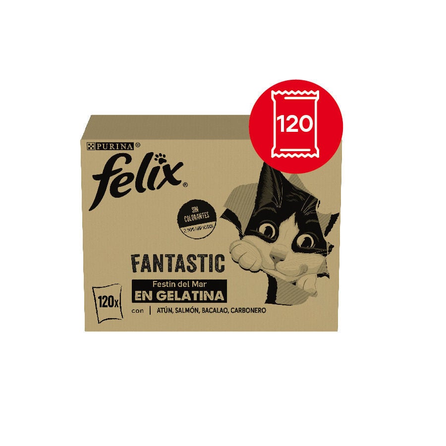 Felix Fantastic Selección de Sabores Pescado en Gelatina sobre para gatos - Multipack