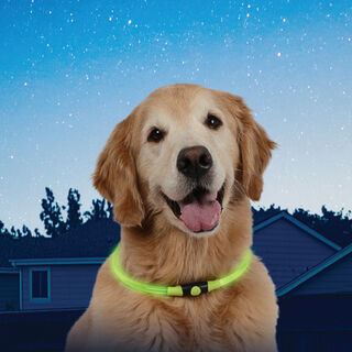 Nite Ize Nite Howl Collar Led Verde para perros