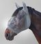 M&aacute;scara antimoscas para caballo Skinny | Talla COB | Color Gris | Equipamiento para el caballo | Producto de Guarnicioner&iacute;a | Tradici&oacute;n artesana | Talla cabezal COB | Los Nietos, , large indicador imagen numero 1