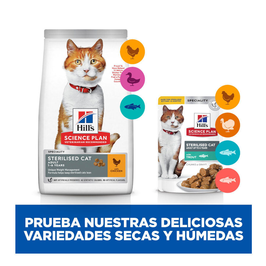 85 g Hill's Science Plan Sterilised Young Adult Trucha Sobre en Salsa para gatos, , large Imagen numero 8