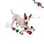 Wonder Christmas Bast&oacute;n de Caramelo Juguete para perros, , large indicador imagen numero 1