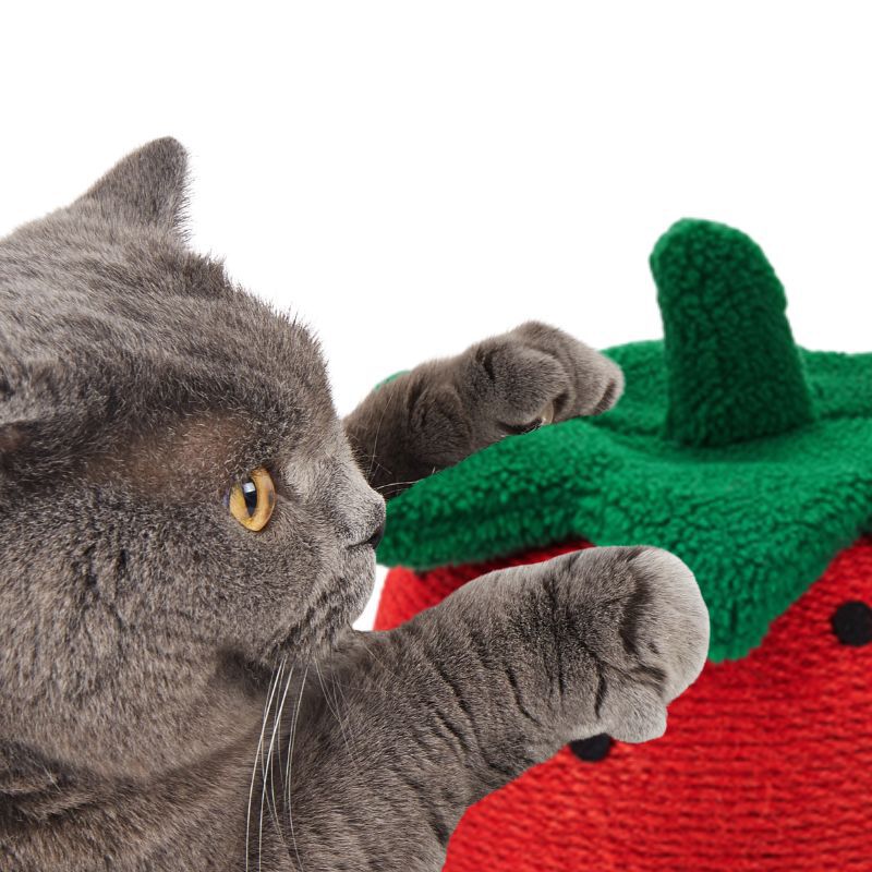 FOFOS | Rascador Fresa - Para Gato, , large Imagen numero 3