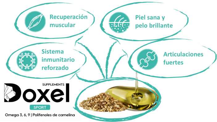 Aceite Omegas 3,6,9 Doxel Flex and Joints antioxidantes recuperaci&oacute;n muscular sabor Natural, , large Imagen numero 2