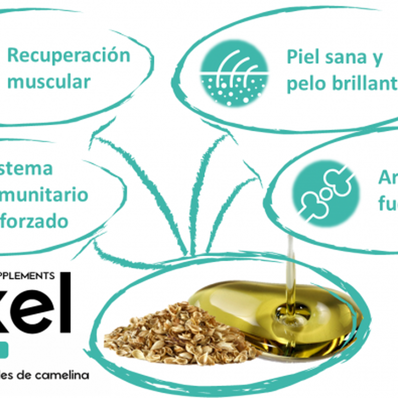 Aceite Omegas 3,6,9 Doxel Flex and Joints antioxidantes recuperación muscular sabor Natural, , large image number null