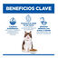 3 kg Hill's Science Plan Perfect Digestion Adult Pollo Pienso para gatos, , large indicador imagen numero 3