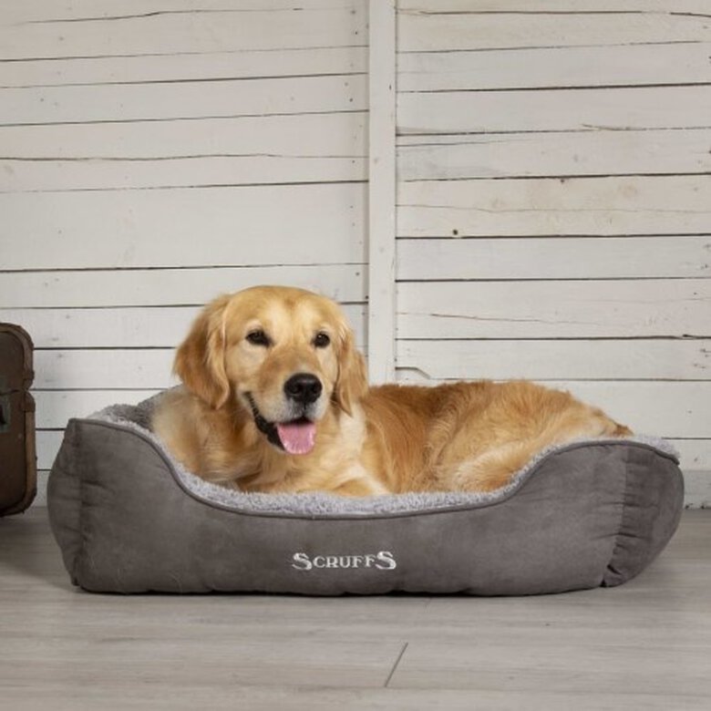 Cama De Mascota color Gris, , large image number null