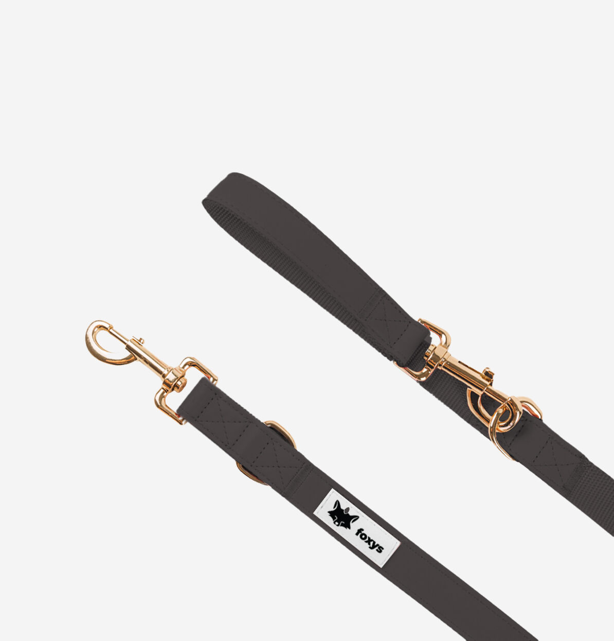 Foxys CityFox Kit Collar y Correa Negro para perros thumbnail