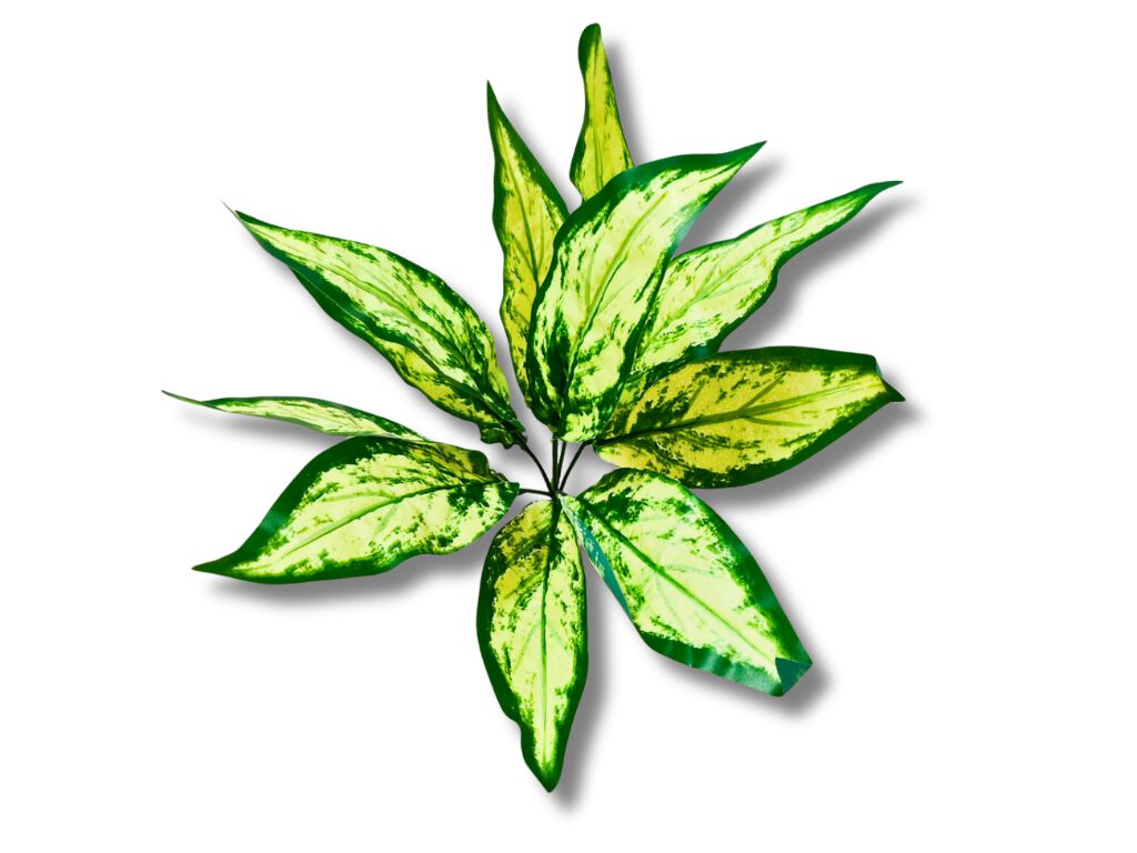 Reptilhábitat Planta Aglaonema De Decoración Para Terrarios thumbnail