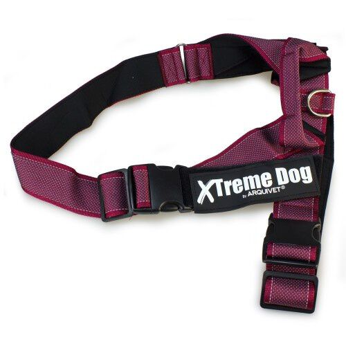 Arn&eacute;s Xtreme Classic para perros color Rosa, , large Imagen numero 5