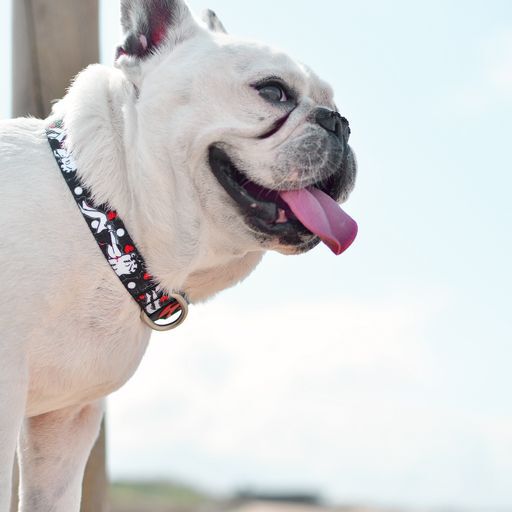 Collar betty boop classy color Negro, , large Imagen numero 4