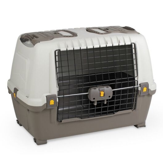 Evaluable Mentor Divertidísimo Outech Robustus Transportín de Coche para perros | Tiendanimal