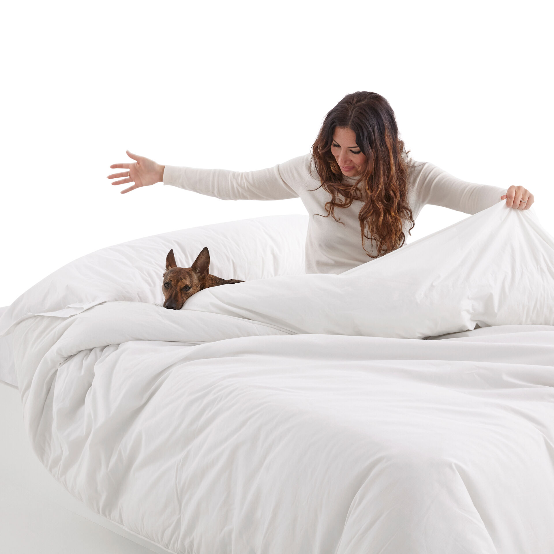 Cool Dreams Pet Cama elevada de madera con escalera para mascota thumbnail