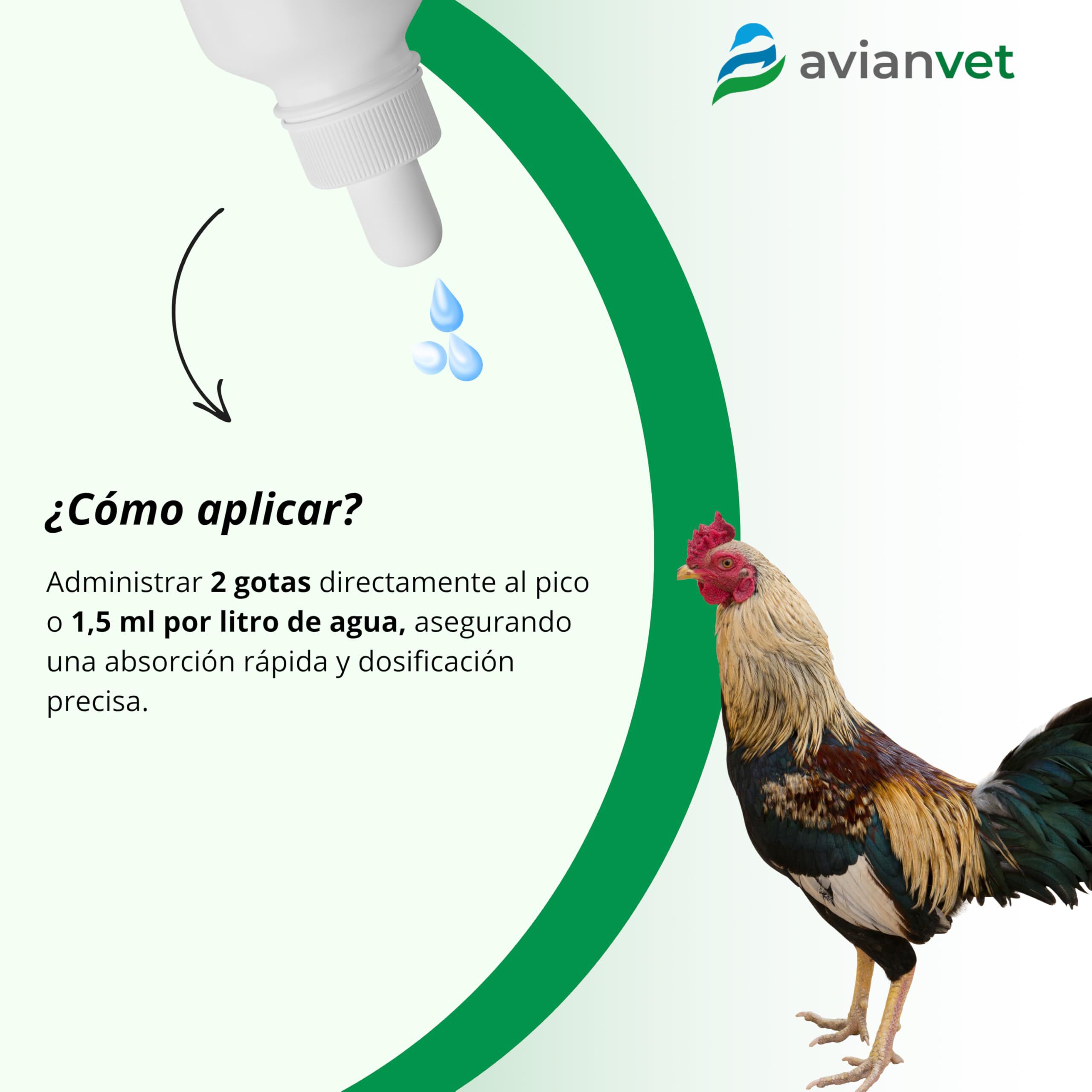 Avianvet Gallos Competici&oacute;n B12 + Hierro 100 ml, , large Imagen numero 3