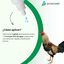 Avianvet Gallos Competici&oacute;n B12 + Hierro 100 ml, , large indicador imagen numero 3