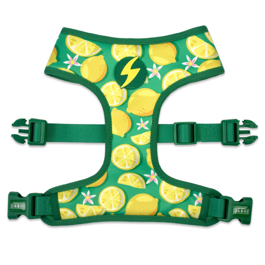 Arn&eacute;s Neo Mesh Eco Rio, , large Imagen numero 1