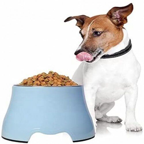 Edipets Comedero y Bebedero de Acero Inoxidable Elevado para mascotas, , large Imagen numero 1