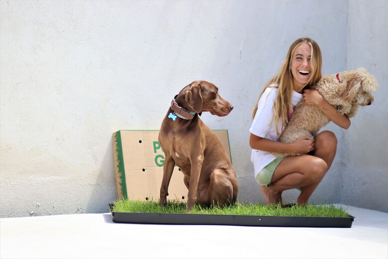 Petground Empapador Cama para perros Alfombra Olfativa thumbnail