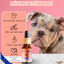 Paradise Salmón Aceite 10% CBD Relajante para Gatos y Perros | Hecho en España, , large indicador imagen numero 2