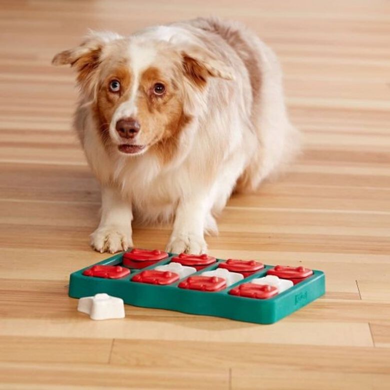 Juguete rompecabezas para perros thumbnail