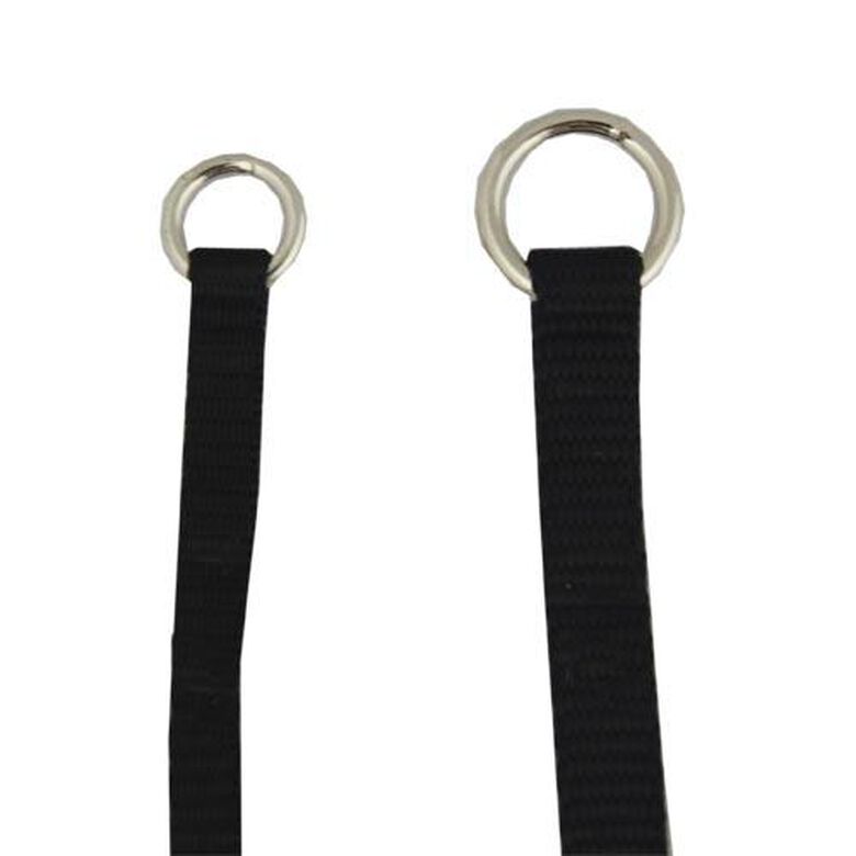 Ibañez Lazos nylon planos con anilla grande para perros thumbnail