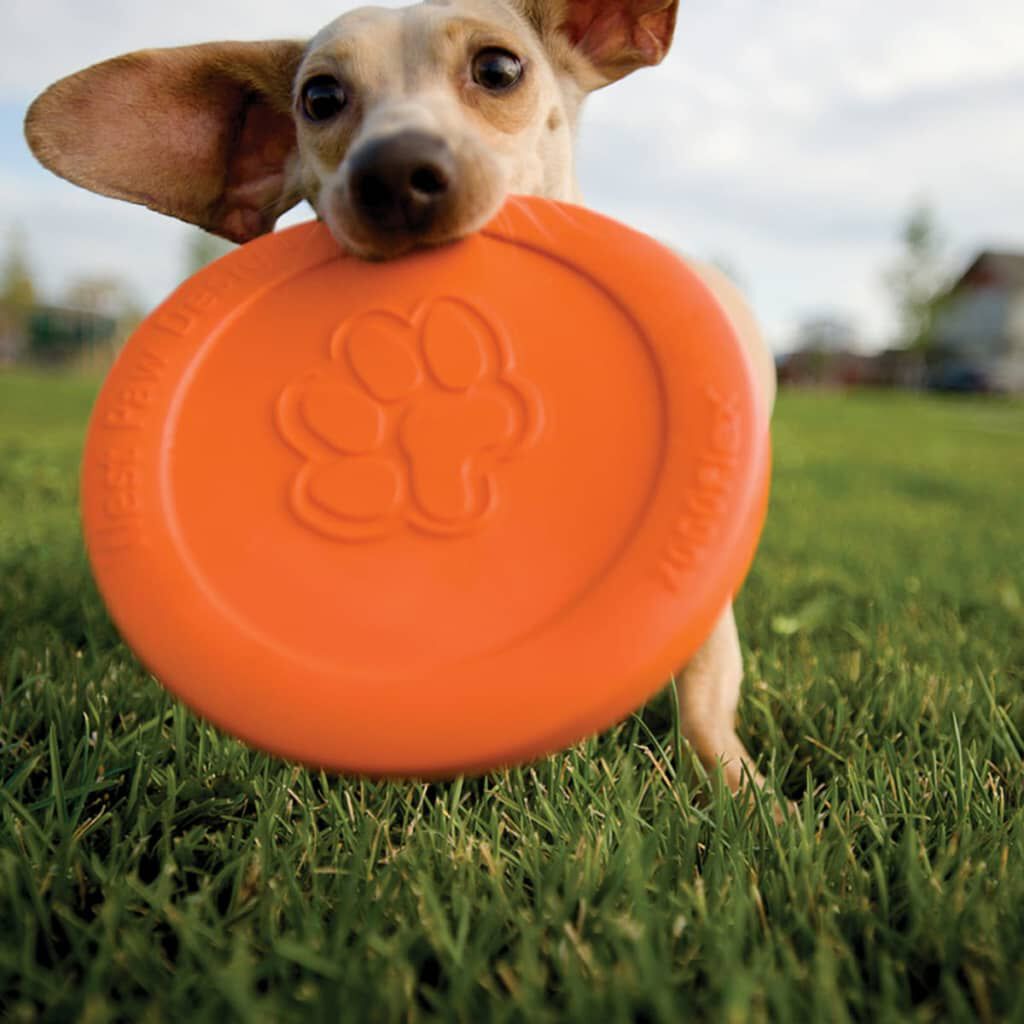 Zogoflex Frisbee para perros Zisc tama&ntilde;o L naranja 1937, , large Imagen numero 2