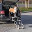 Trixie petwalk escalera plegable de aluminio blanco para perros, , large indicador imagen numero 2