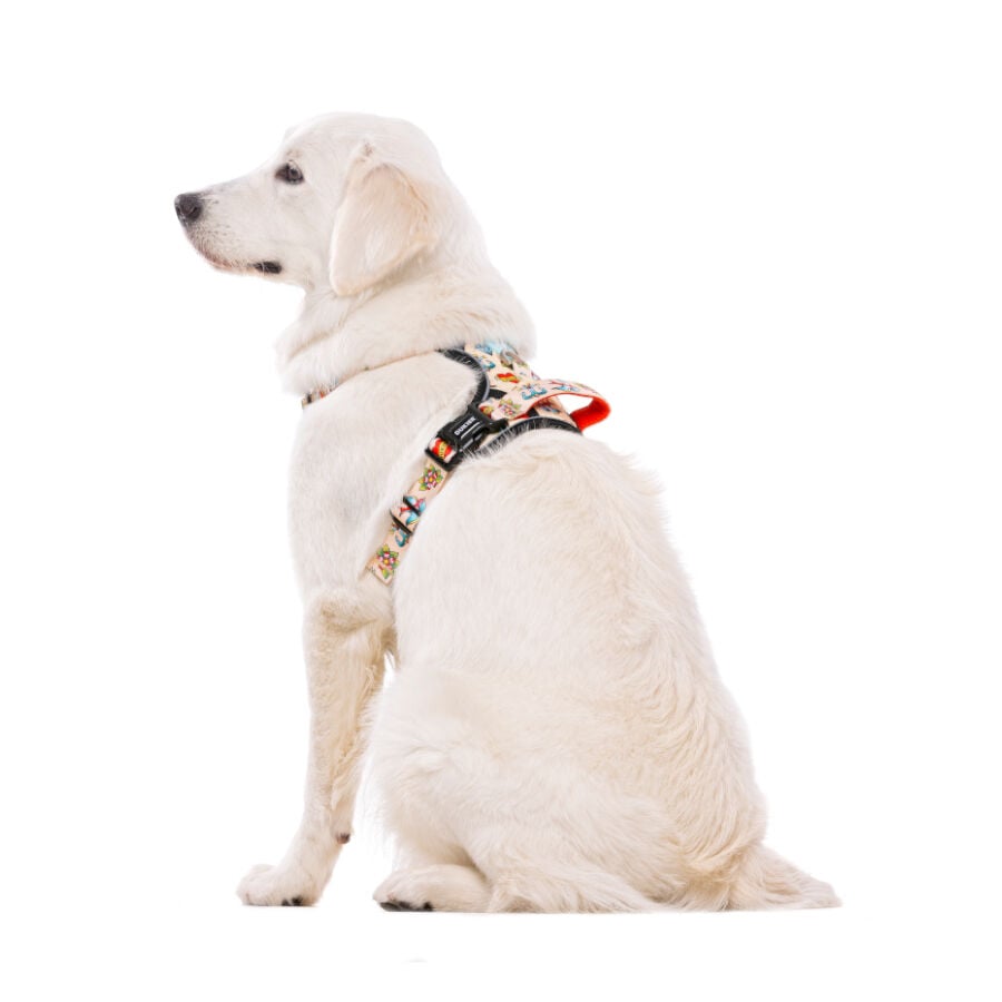 Dukier Tattoo Arnés Trail para perros thumbnail