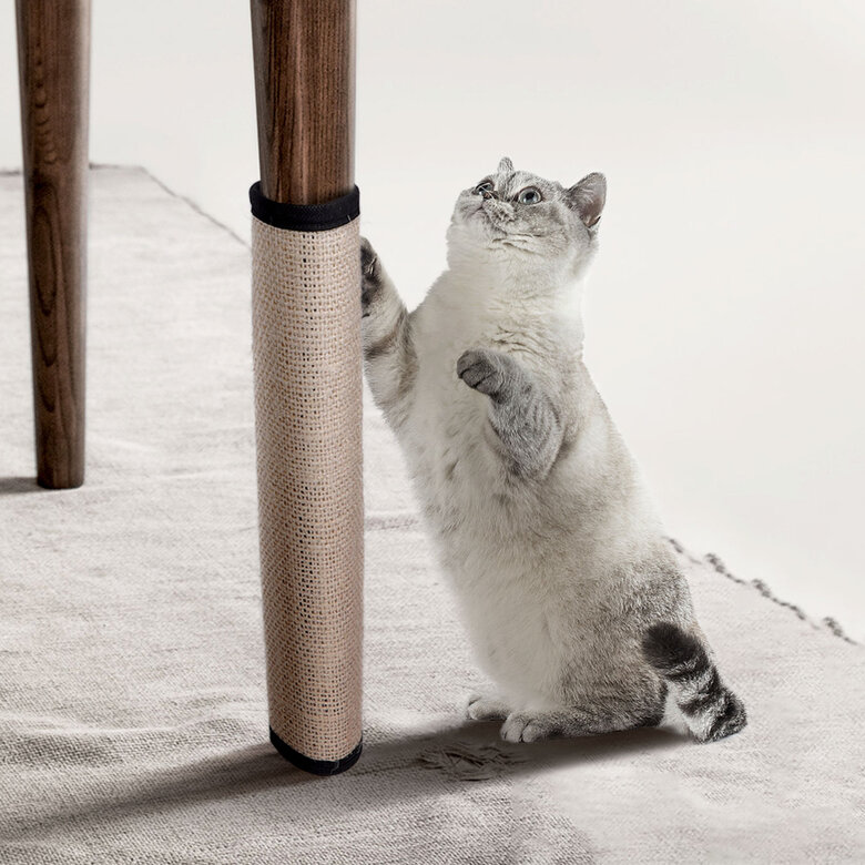 Rascador Sofa Gatos: Alfombrilla para gatos, protección contra rasguños  para sofá, alfombrilla para rascar de sisal con bola : : Productos  para mascotas