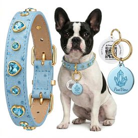 PawView Collar para Perro de Cuero Turquesa Claro con Cristales de Coraz&oacute;n y Placa de Identificaci&oacute;n QR Inteligente - Elegante, Seguro y Ajustable