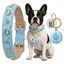 PawView Collar para Perro de Cuero Turquesa Claro con Cristales de Coraz&oacute;n y Placa de Identificaci&oacute;n QR Inteligente - Elegante, Seguro y Ajustable, , large indicador imagen numero 1