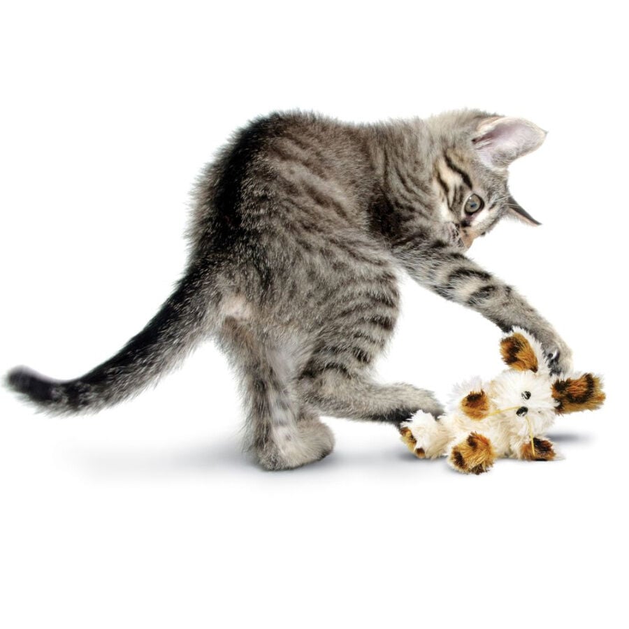 Kong Softies Patchwork Oso de peluche para gatos thumbnail