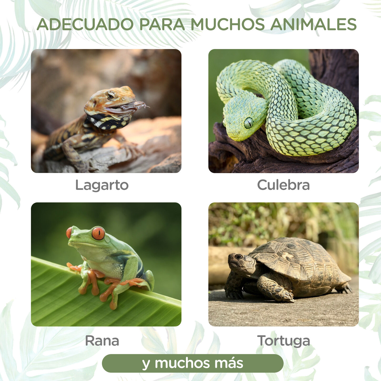 Nobleza Terrario de Plástico para Reptiles y Anfibios thumbnail