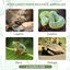 Nobleza Caja de Alimentación de Reptiles y Anfibios,Terrario de Plástico Transparente, Transportadoras para Tortuguera Spide Lagartija Escorpión Ciempiés Rana Escarabajo,Talla XL(34.8*22.1*21.6cm), , large indicador imagen numero 5