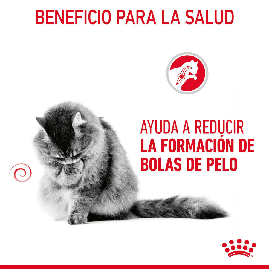 Royal Canin Intense Hairball pienso para gatos thumbnail